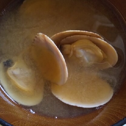 朝御飯に美味しくいただきました☆お味噌汁で元気出まーす♪ごちそうさまでした(*´∀人)